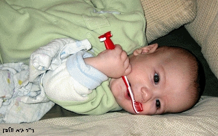 1392_169c6a02b4cddb11a4da658919ac3596-1