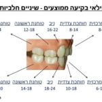 משנן חלבי גילאי בקיעה