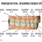 משנן קבוע גילאי בקיעה