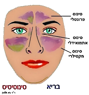 1392_a198df5d290ddba704af0082c1819473-1